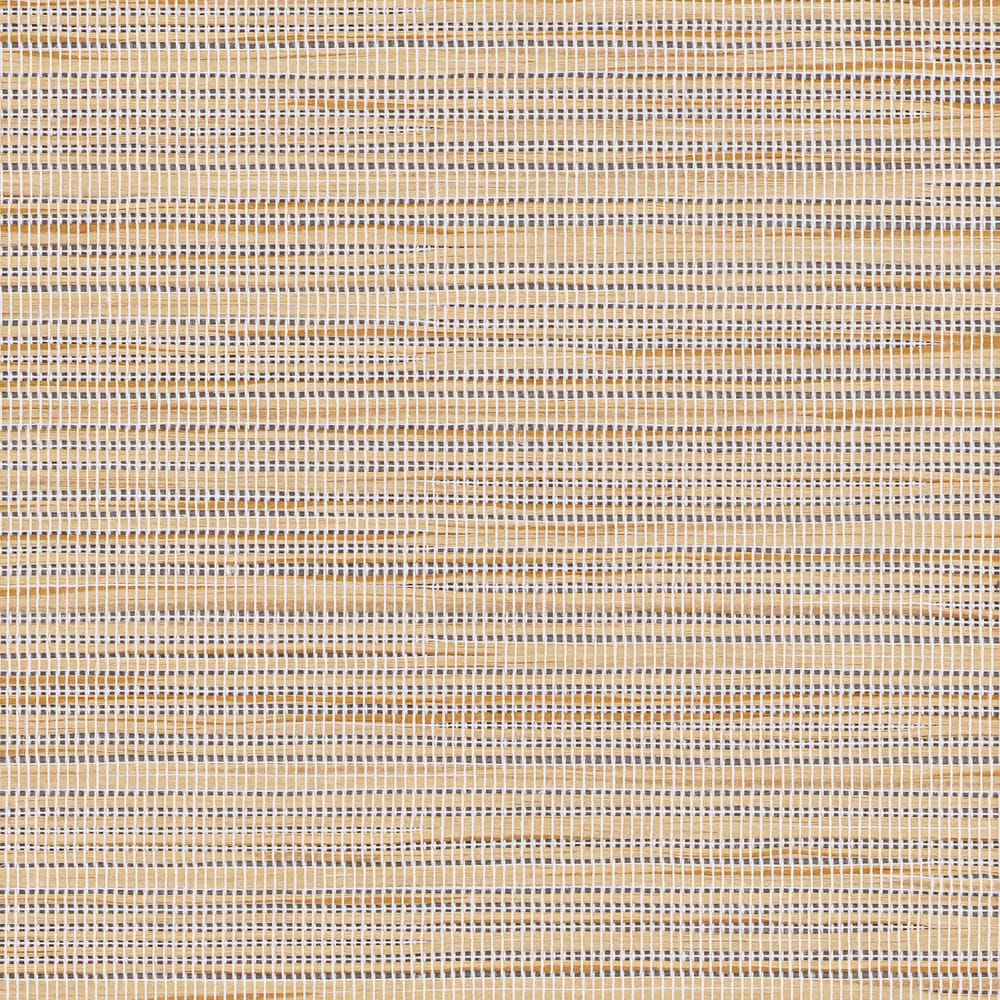 Bali — Biscotti