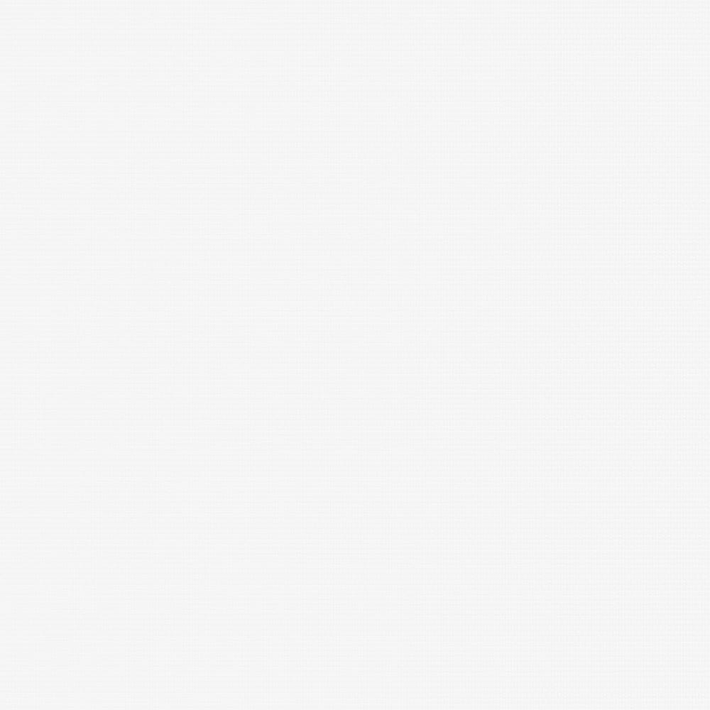 Basic — White swatch