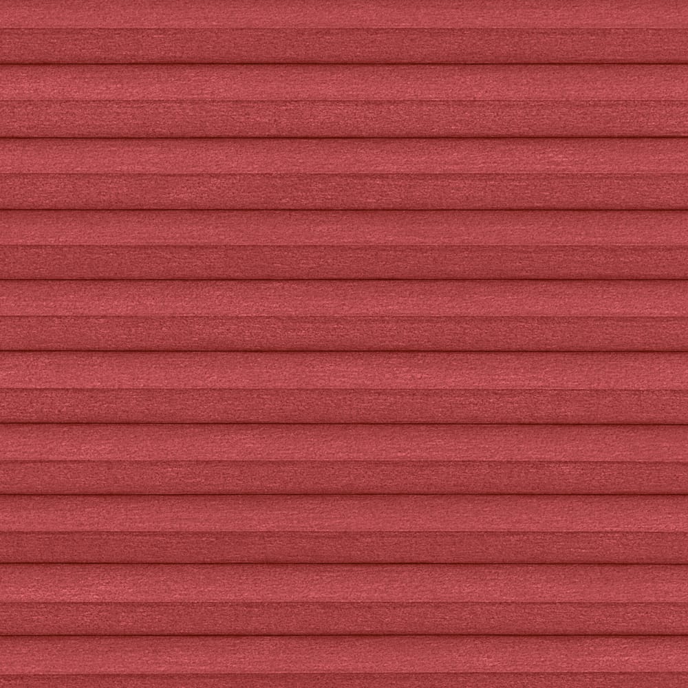 hc45 — Coral