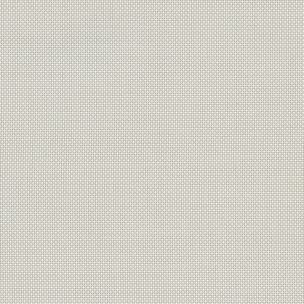 White / Bone
