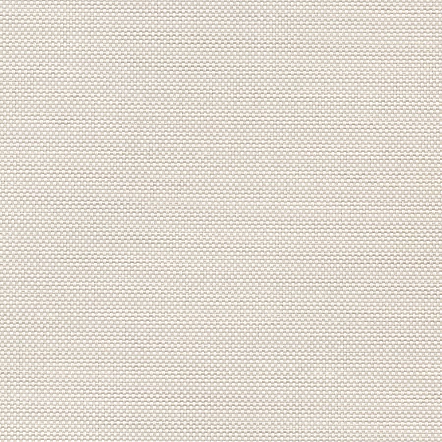 White / Bone